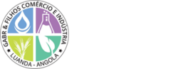 GABRE FILHOS COMERCIO GERAL LDA